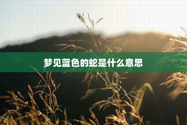 梦见蓝色的蛇是什么意思