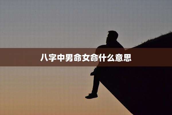 八字中男命女命什么意思