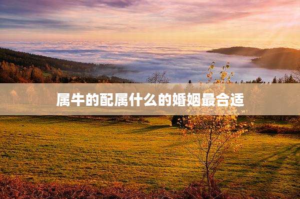 属牛的配属什么的婚姻最合适