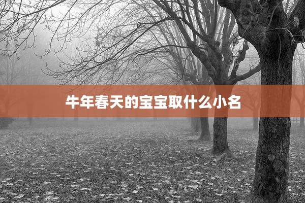 牛年春天的宝宝取什么小名