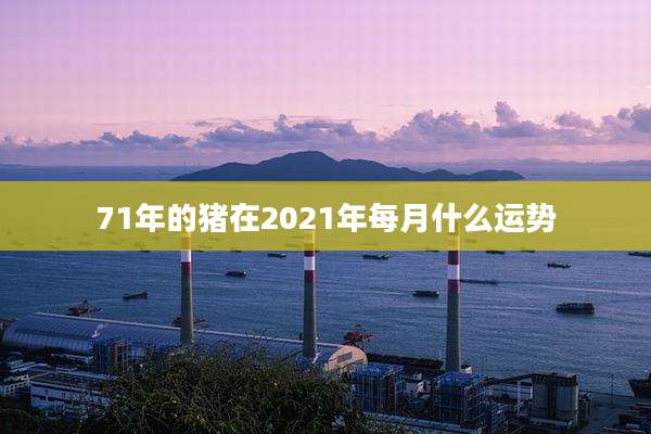 71年的猪在2021年每月什么运势