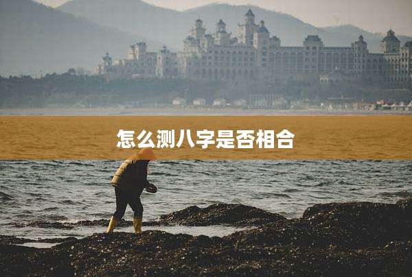 怎么测八字是否相合