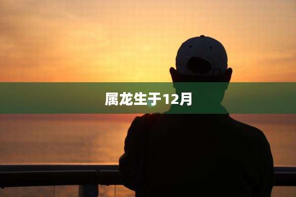 属龙生于12月