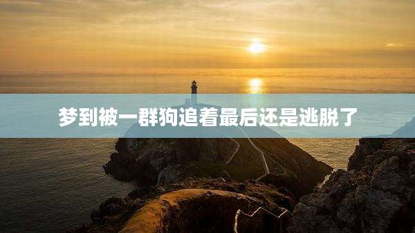 梦到被一群狗追着最后还是逃脱了