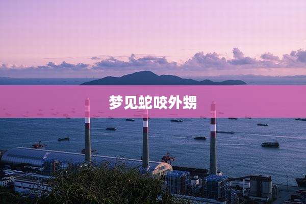 梦见蛇咬外甥