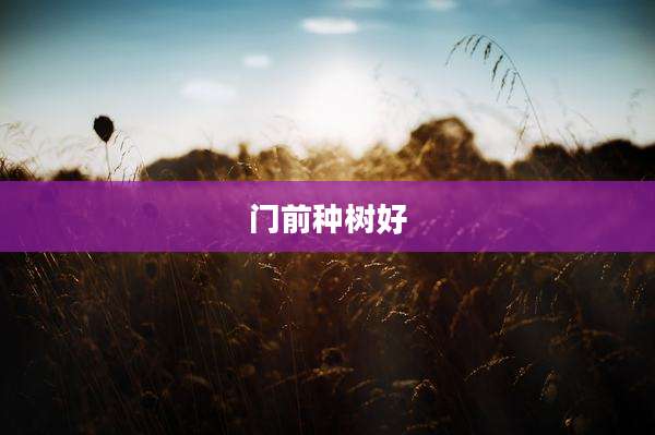 门前种树好