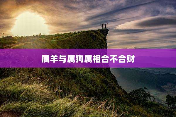 属羊与属狗属相合不合财