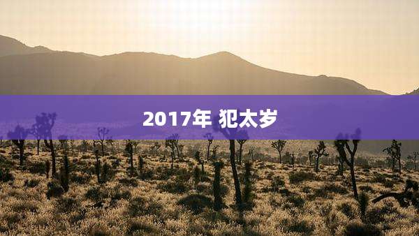 2017年 犯太岁