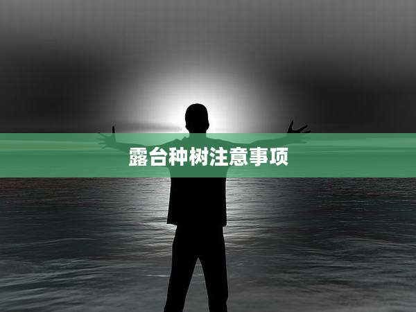 露台种树注意事项