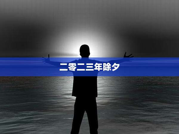 二零二三年除夕