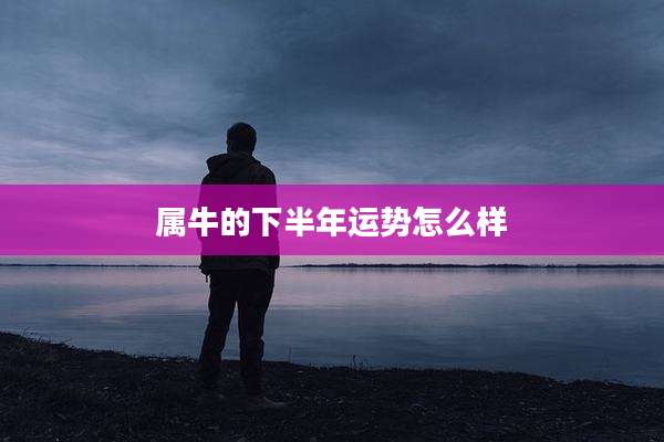 属牛的下半年运势怎么样