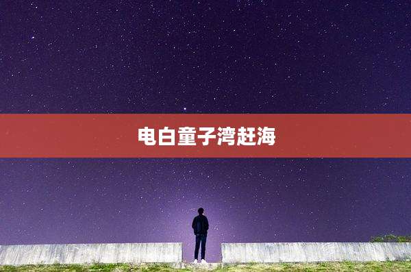 电白童子湾赶海