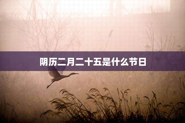 阴历二月二十五是什么节日