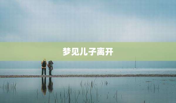 梦见儿子离开