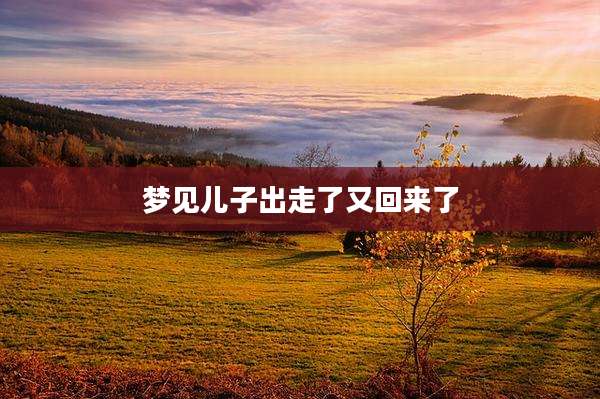 梦见儿子出走了又回来了