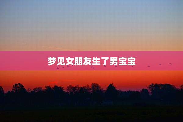 梦见女朋友生了男宝宝