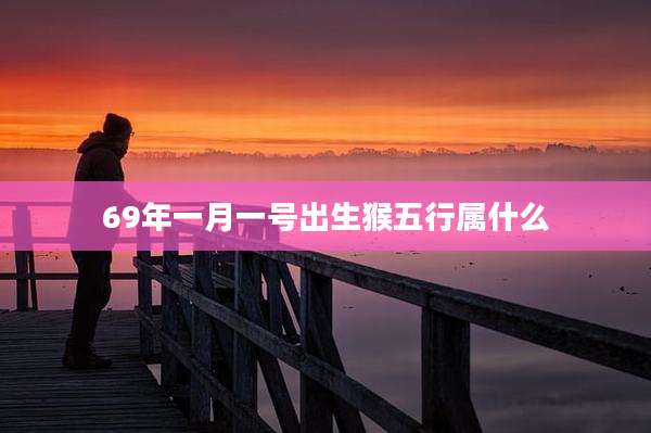 69年一月一号出生猴五行属什么