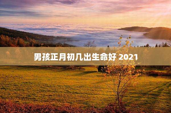 男孩正月初几出生命好 2021