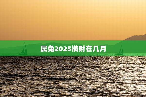 属兔2025横财在几月