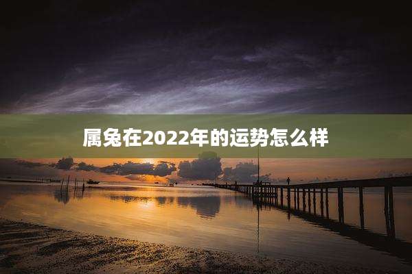 属兔在2022年的运势怎么样