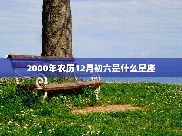 2000年农历12月初六是什么星座