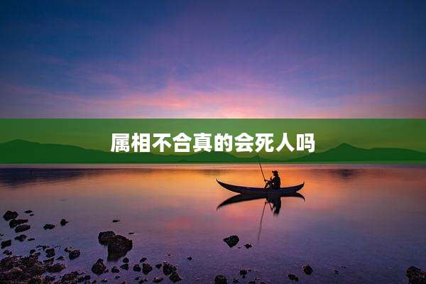 属相不合真的会死人吗