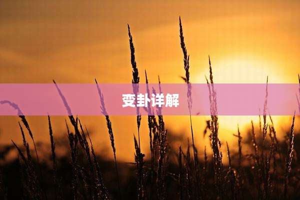 变卦详解