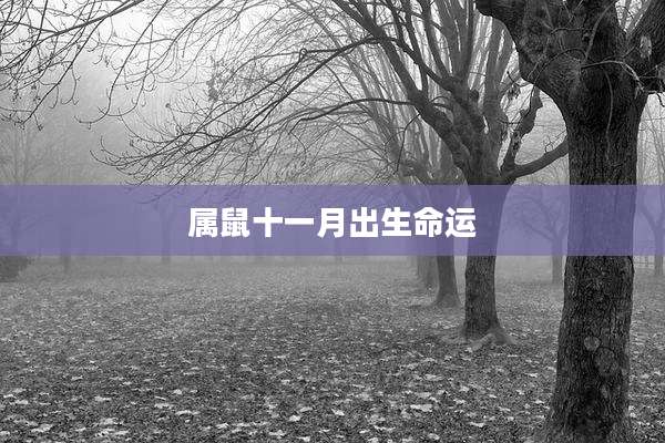 属鼠十一月出生命运