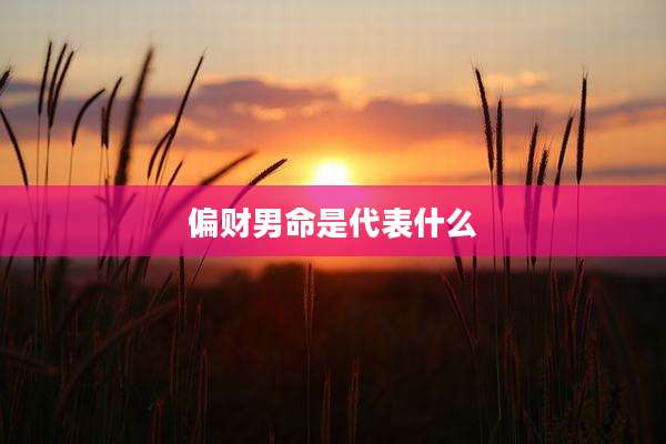 偏财男命是代表什么