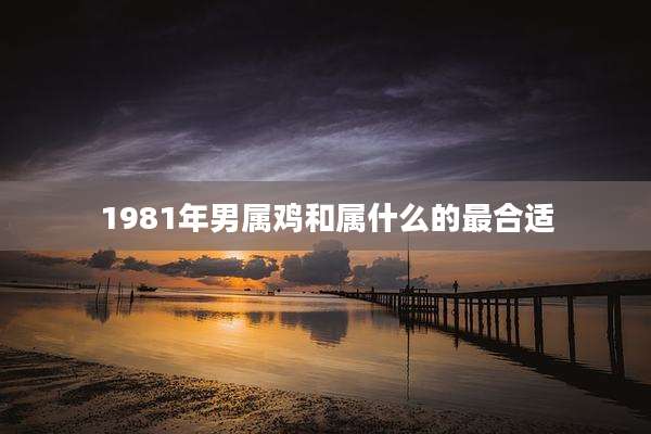 1981年男属鸡和属什么的最合适