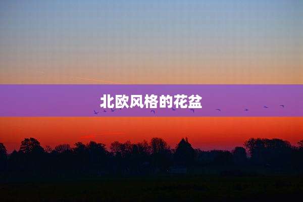 北欧风格的花盆