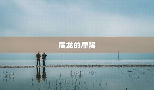 属龙的摩羯