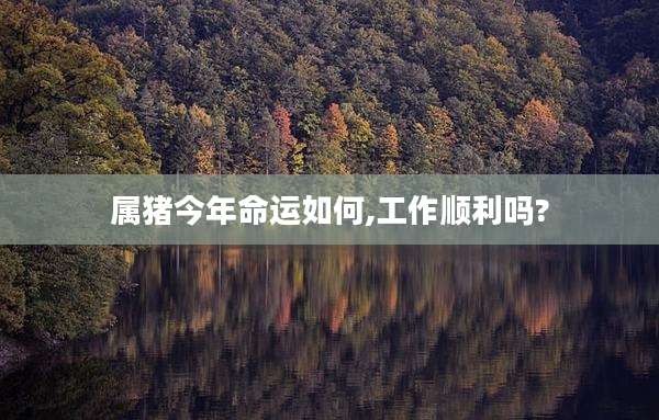 属猪今年命运如何,工作顺利吗?