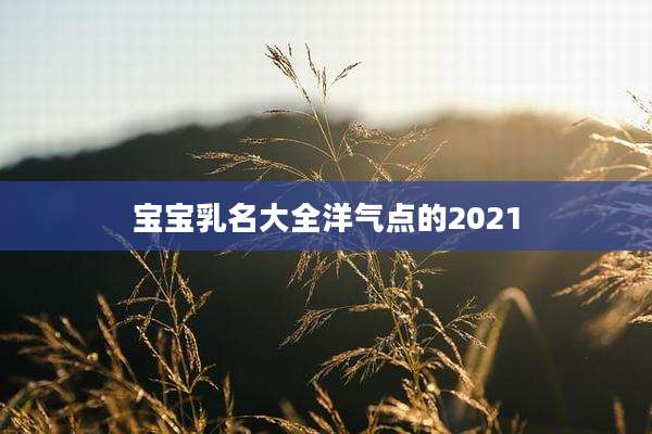 宝宝乳名大全洋气点的2021