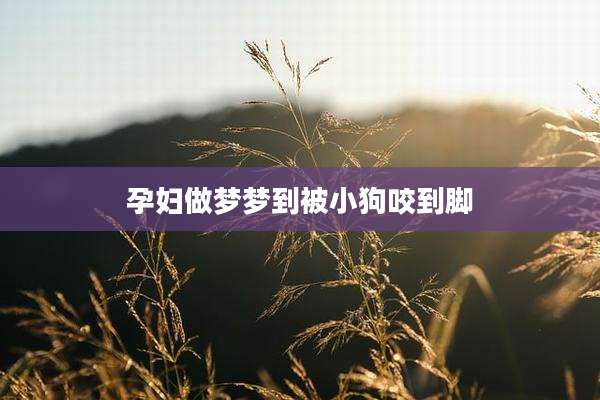 孕妇做梦梦到被小狗咬到脚