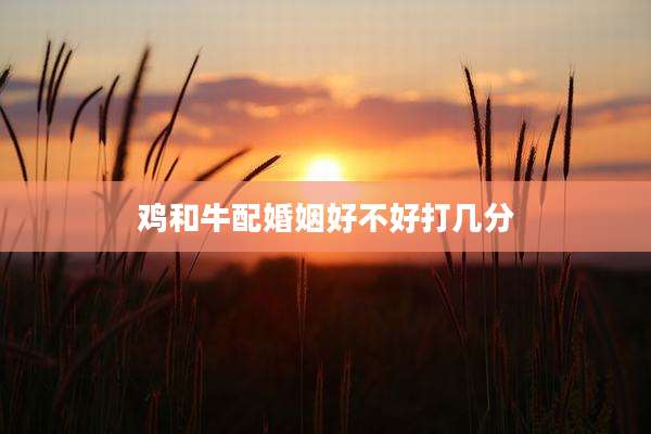 鸡和牛配婚姻好不好打几分