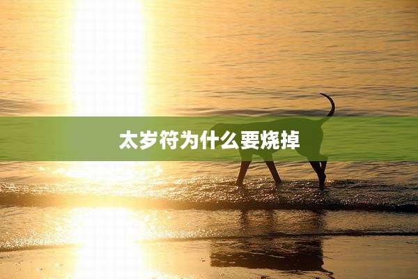 太岁符为什么要烧掉