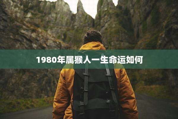 1980年属猴人一生命运如何