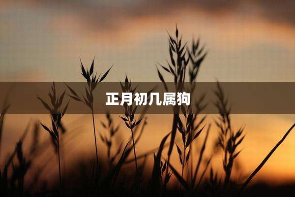 正月初几属狗
