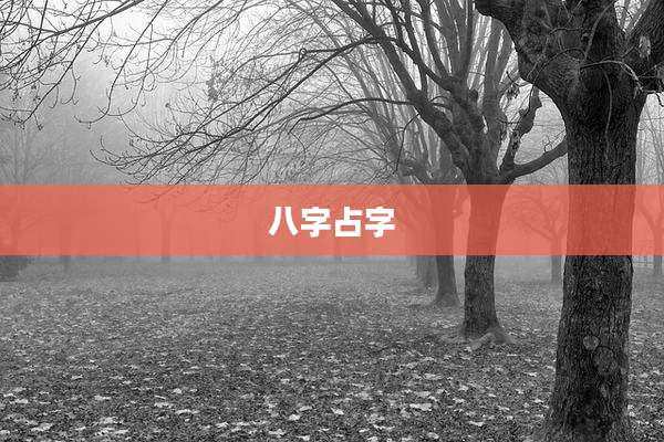 八字占字