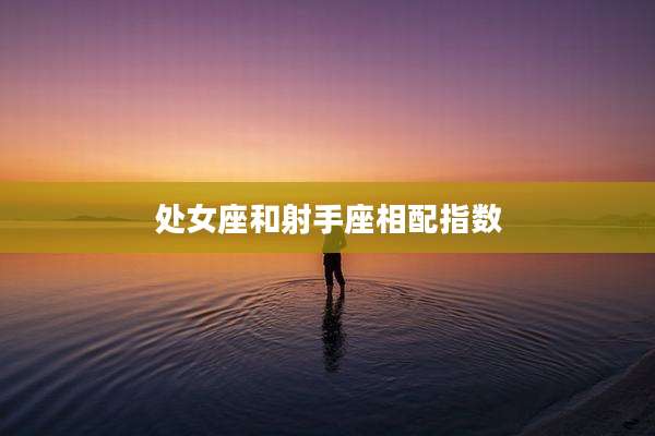 处女座和射手座相配指数