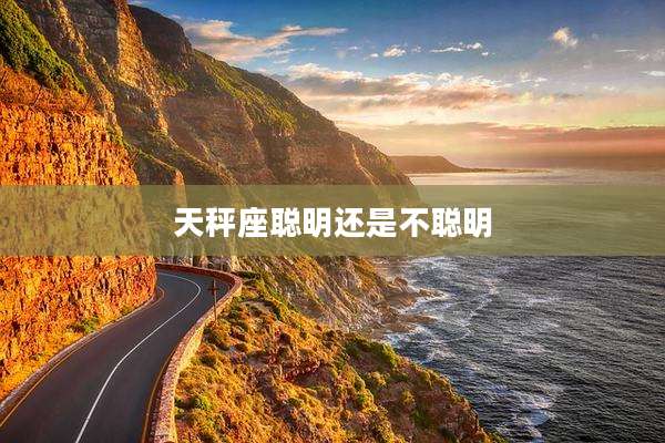 天秤座聪明还是不聪明