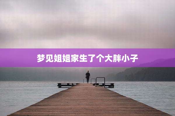 梦见姐姐家生了个大胖小子