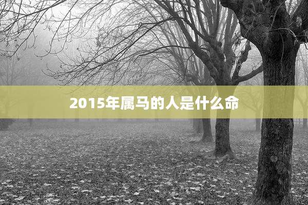 2015年属马的人是什么命
