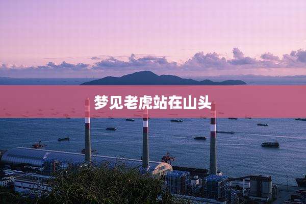 梦见老虎站在山头