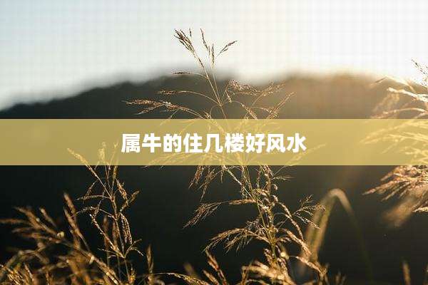 属牛的住几楼好风水