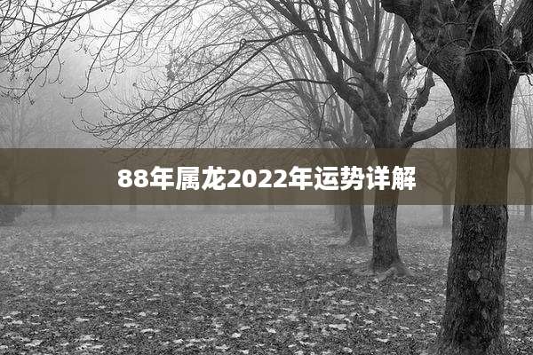 88年属龙2022年运势详解