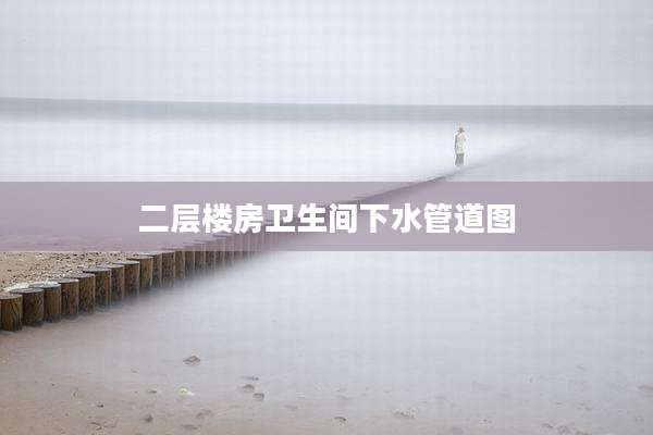 二层楼房卫生间下水管道图