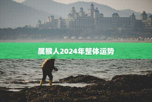 属猴人2024年整体运势