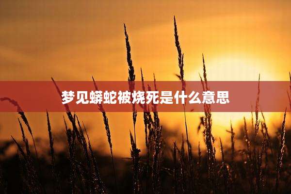梦见蟒蛇被烧死是什么意思